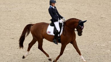 Image for Howard delivers gold in para equestrian debut